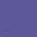 Gdx Seyyar Kağıt Sonsuz Stüdyo Fon Perde (Purple) 2.70x11 Metre