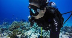GoPro Yeşil Sular için Dalış Filtresi