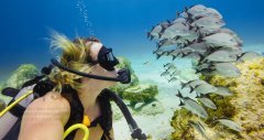 GoPro Mavi Sular için Dalış Filtresi