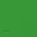 Gdx Seyyar Kağıt Sonsuz Stüdyo Fon Perde (Green/Yeşil) 2.70x11 Metre
