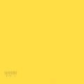 Gdx Seyyar Kağıt Sonsuz Stüdyo Fon Perde (Canary) 2.70x11 Metre