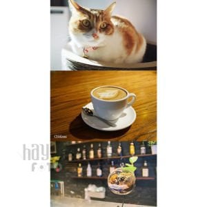 7Artisans 25 MM F/1.8 Manual Focus Prime Fixed (Sony E-Mount) Uyumlu Lens