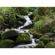 Hoya PRO ND 1000 58 mm (10 Stop)
