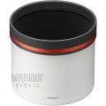 Sony FE 400mm f/2.8 GM OSS Lens