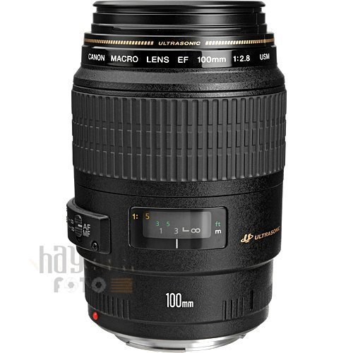 Canon EF 100 mm f/ 2.8 USM