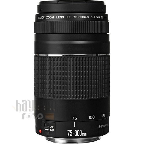 Canon EF 75-300mm f/4.0-5.6 III Lens