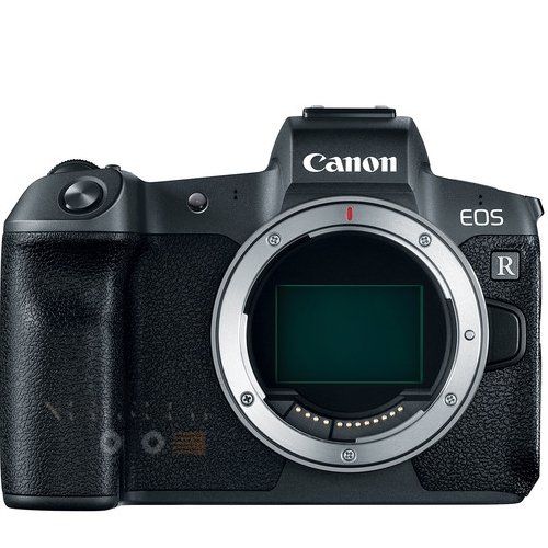 CANON EOS R + Canon EF-EOS R Mount Adaptör