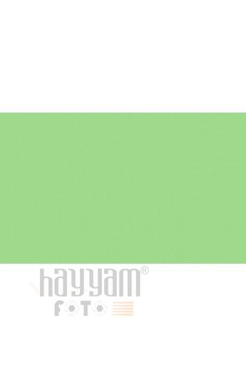 BD Backgrounds Stüdyo Fon  (SpringGreen 174)