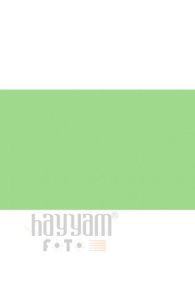 BD Backgrounds Stüdyo Fon  (SpringGreen 174)
