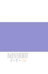 BD Backgrounds Stüdyo Fon  (Violet 133)
