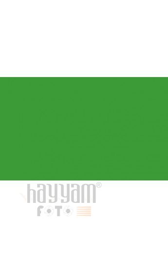 BD Backgrounds Stüdyo Fon  (Veri Green 132)