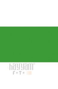 BD Backgrounds Stüdyo Fon  (Veri Green 132)