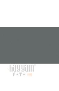 BD Backgrounds Stüdyo Fon  (Thun.Gray 131)