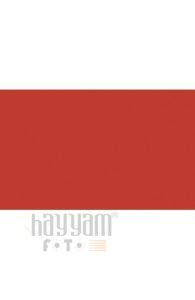 BD Backgrounds Stüdyo Fon  (Terracotta 139)