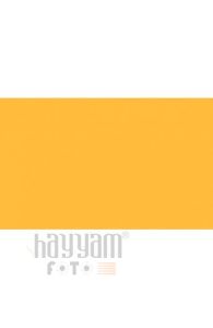BD Backgrounds Stüdyo Fon  (Sunflower 138)