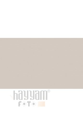 BD Backgrounds Stüdyo Fon  (Silver Gray 127)