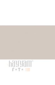 BD Backgrounds Stüdyo Fon  (Silver Gray 127)