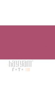 BD Backgrounds Stüdyo Fon  (Ruby 156)