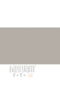 BD Backgrounds Stüdyo Fon  (Pursuit Gray 123)