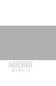 BD Backgrounds Stüdyo Fon  (Plaza Gray 119)