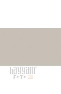 BD Backgrounds Stüdyo Fon  (Photo. Gray 153)