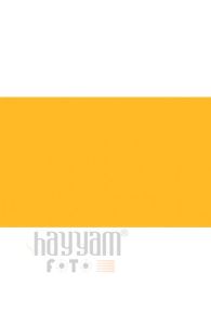 BD Backgrounds Stüdyo Fon  ( Marigold 169)