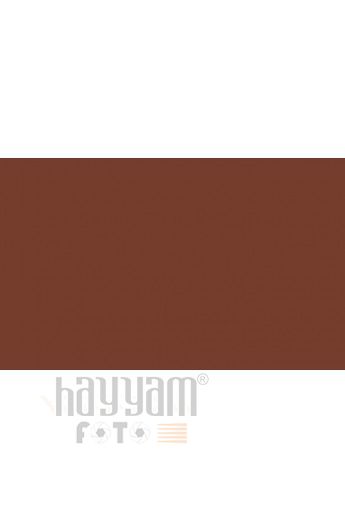 BD Backgrounds Stüdyo Fon  (Hickory 113)