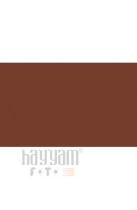 BD Backgrounds Stüdyo Fon  (Hickory 113)