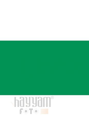 BD Backgrounds Stüdyo Fon  (Foto Green 162)
