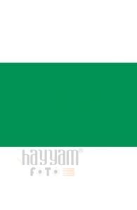 BD Backgrounds Stüdyo Fon  (Foto Green 162)