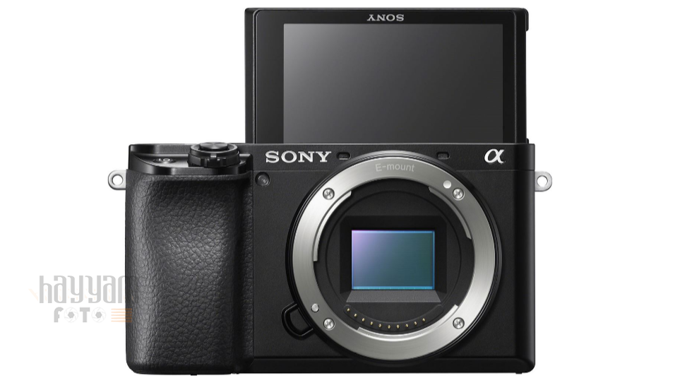 Sony Alpha 6100 16-50\ 55-210
