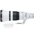Canon EF 600mm f/4 L IS III USM Lens